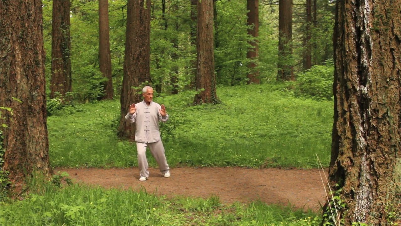 Chen Tai Chi Form: Buddha's Warrior Attendant Pounds Mortar -Tai Chi Costa Rica - Dr Bob Bacher