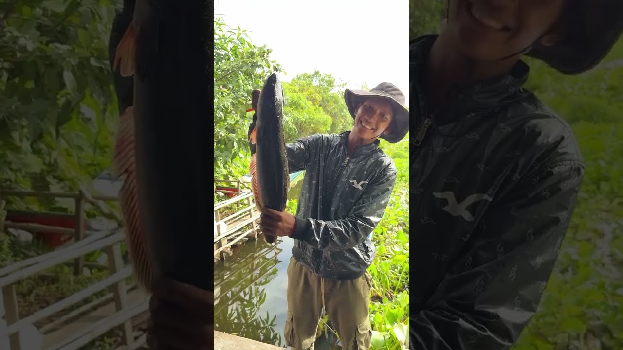 ព្រោះតែត្រីឆ្ដោ១ក្បាលខ្ញុំអស់៥មុឺន😂