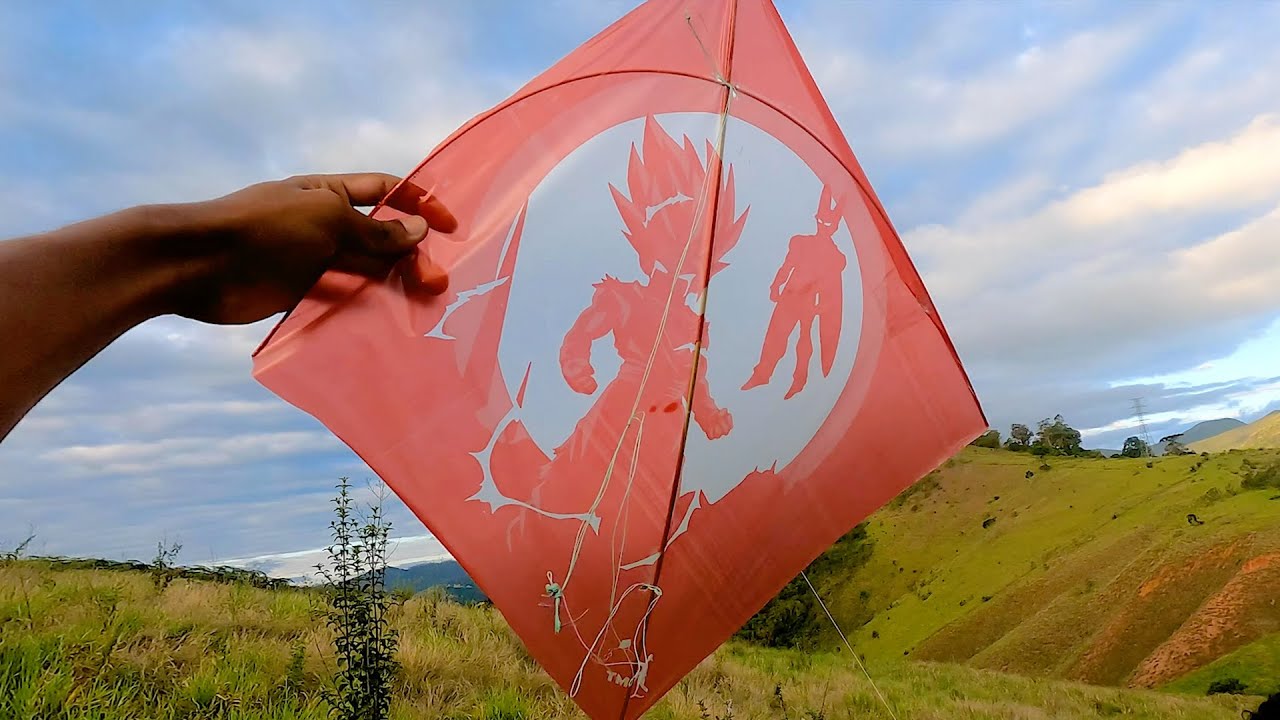 Primeira Vez Apanhando as Pipas Voada com o Helinho e o Menor do Relo no Festival de Pipa do Laginha
