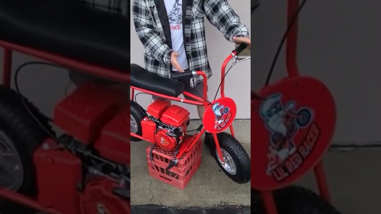 mini bike build trending  