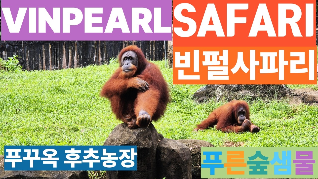 #사파리 #빈펄사파리 #푸꾸옥사파리 #동물원 #베트남여행  #푸꾸옥여행