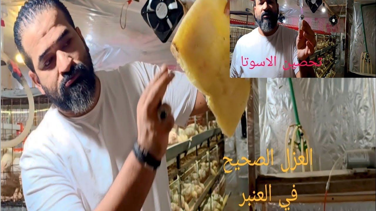 تحصينه الاسوتا والعزل المظبوط في العنبر مع التهوية مع الرسام محمد نجيب 💪💪💪🌶️🌶️🌶️