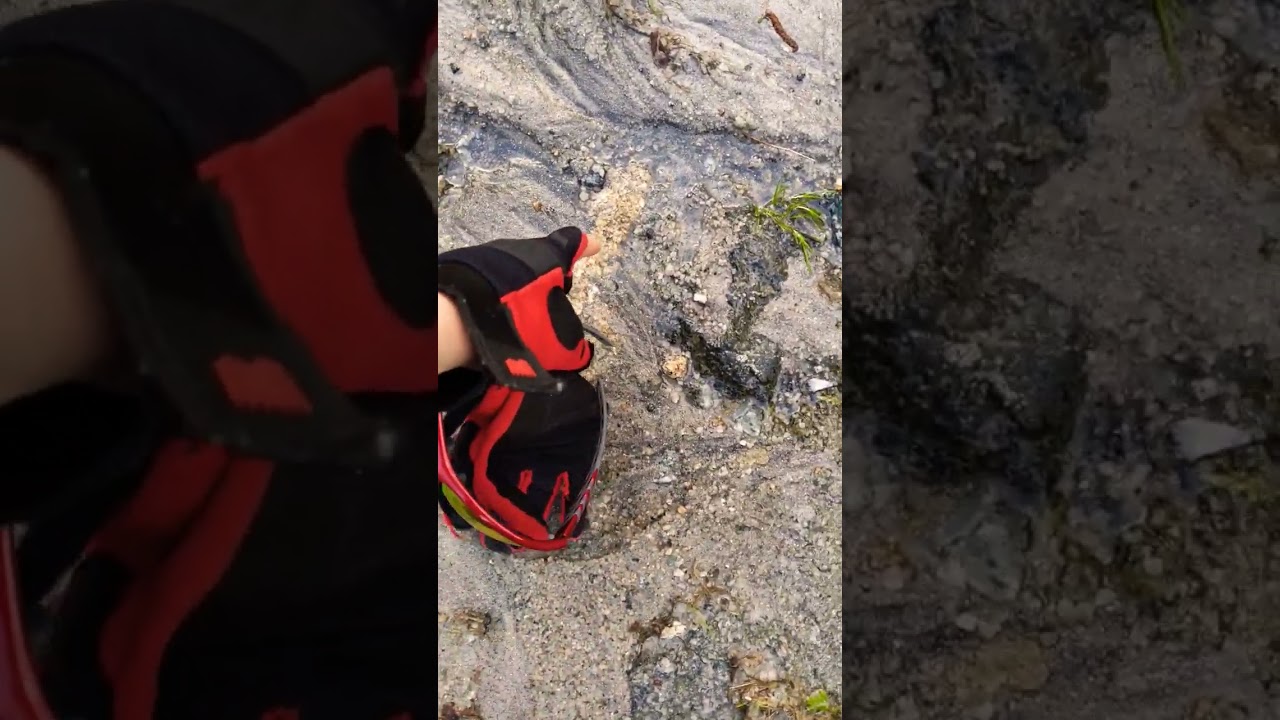Geyser releases underground river water after huge rainstorm!!
