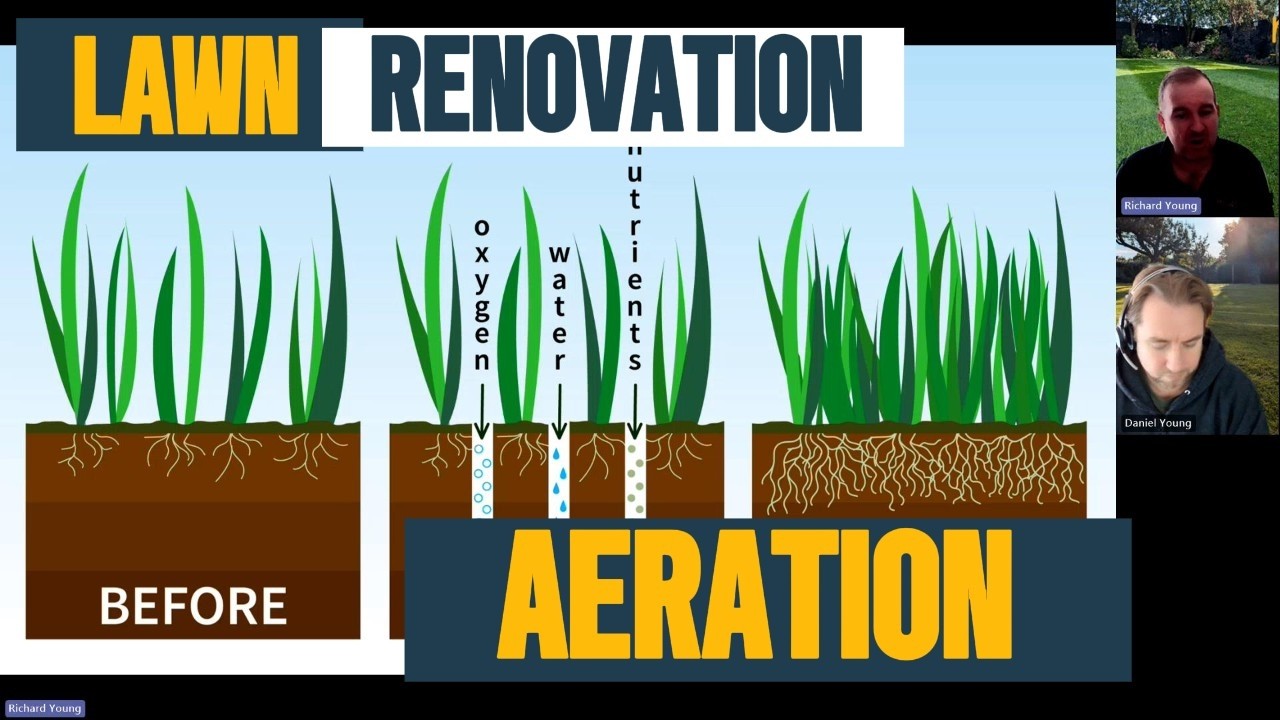 How important is AERATION in your lawn renovation?