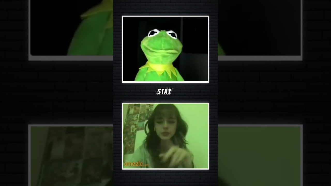 I'm not Elmo I'm Kermit🐸 #kermit #kermitthefrog #omegle