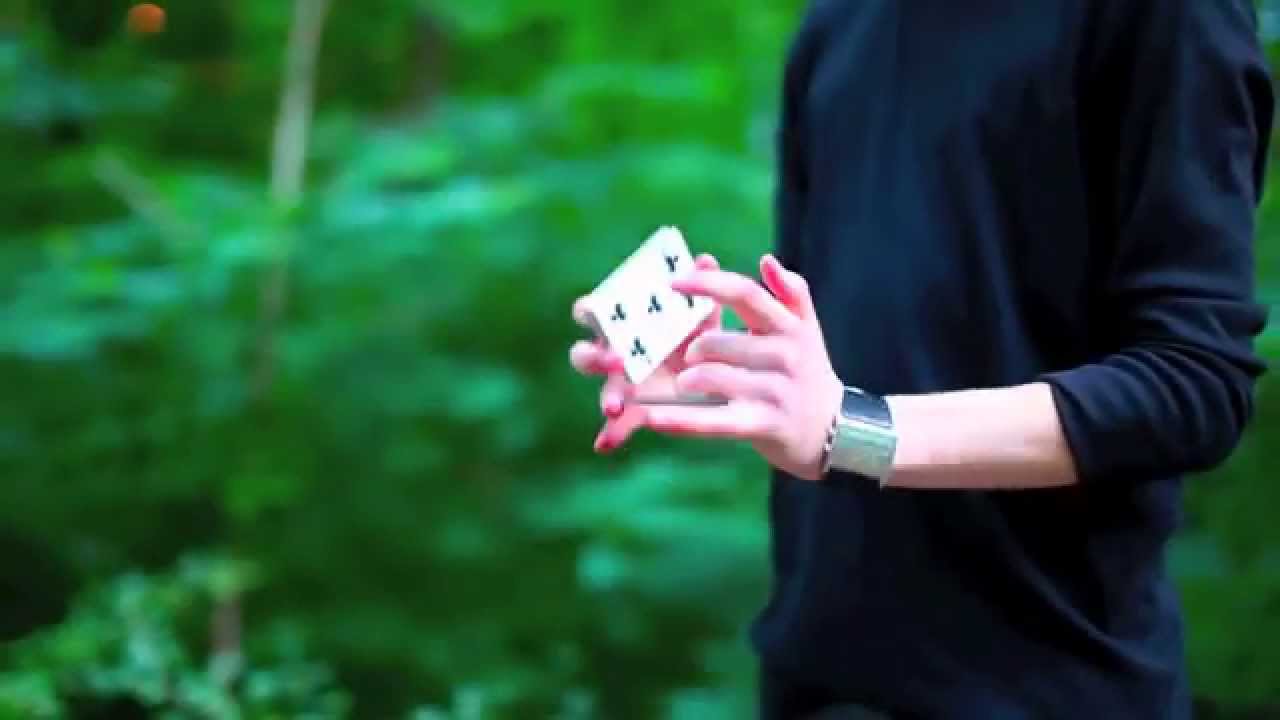 THE FOREST