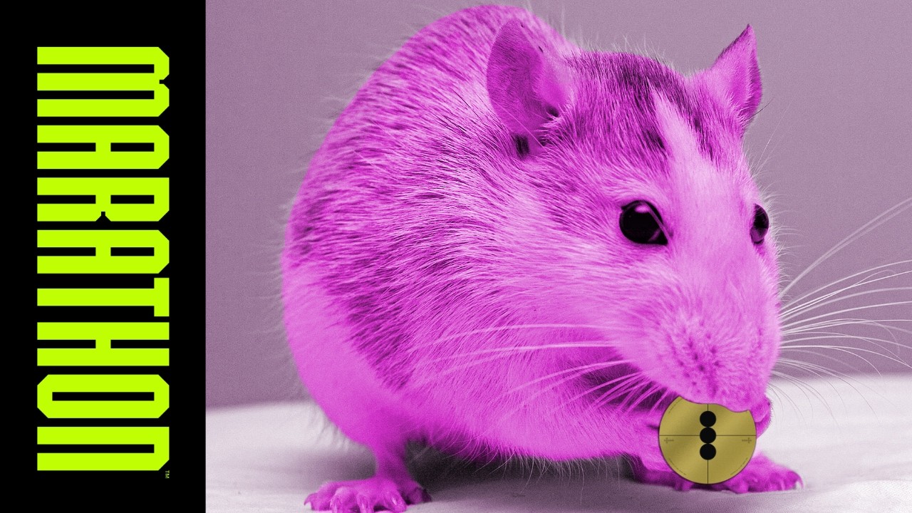 Highest rank Marathon rat explains ranked gameplay
