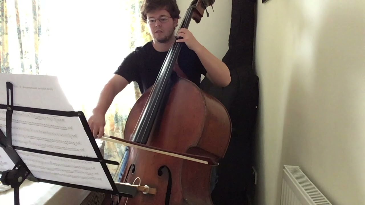 Mozart - Eine Kleine Nachtmusik (Double Bass Cover)