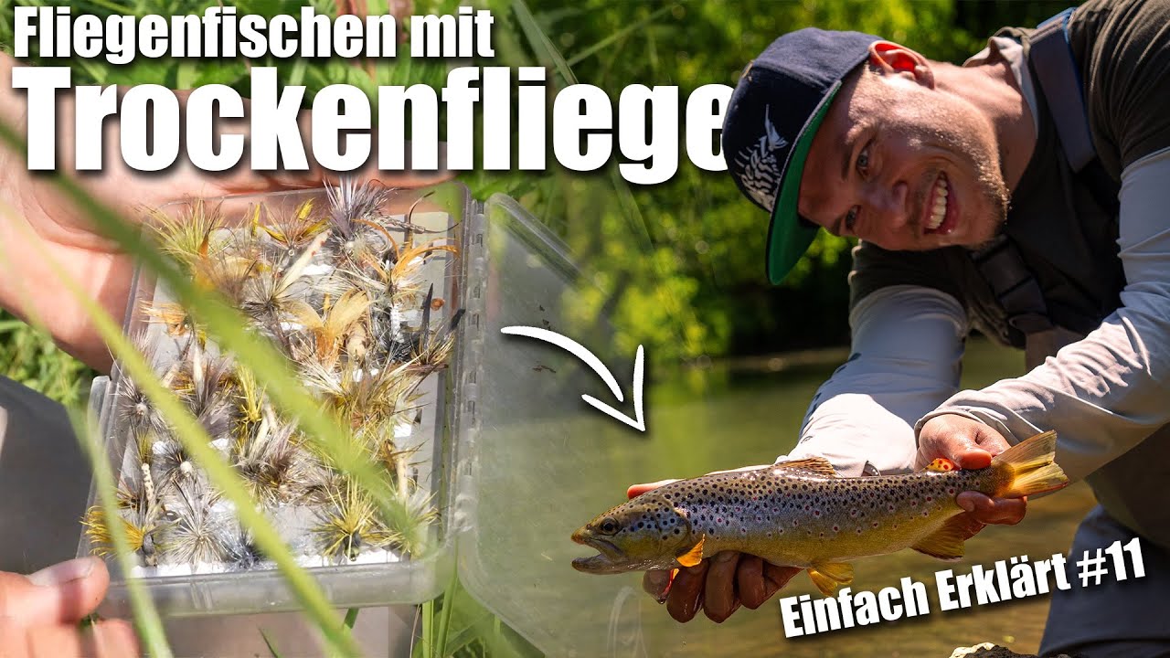 Fliegenfischen mit der Trockenfliege // Einfach Erkl&auml;rt #12