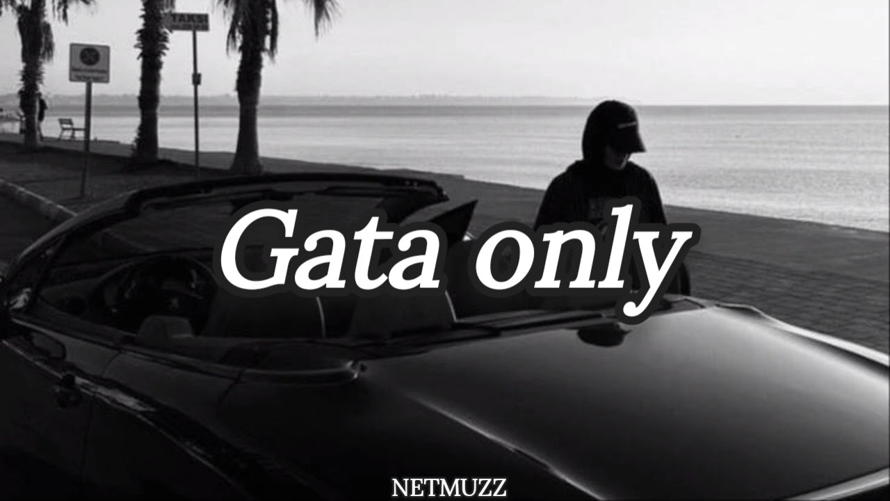 FloyyMenor & Cris Mj - Gata Only (shadow effect + slowed&reverb) #gataonly #slowedandreverb #vibe