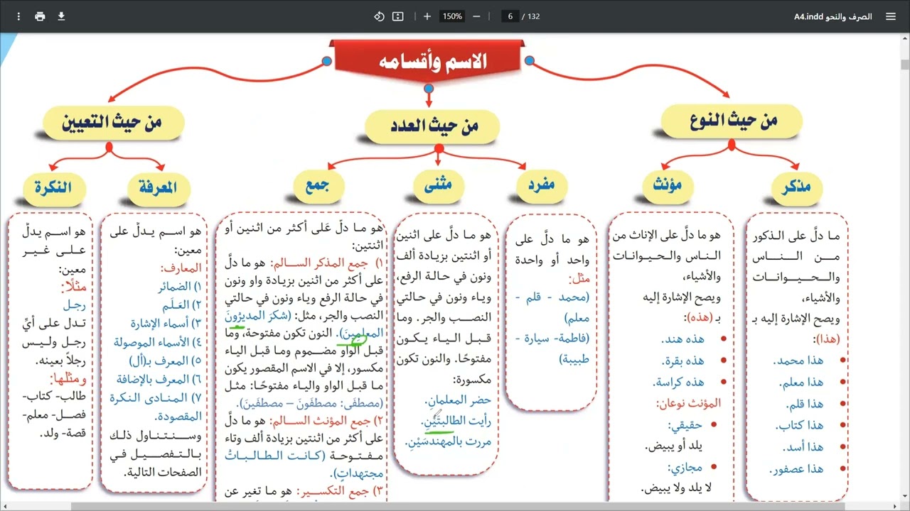 المحاضرة الثالثة: أقسام الاسم من حيث العدد