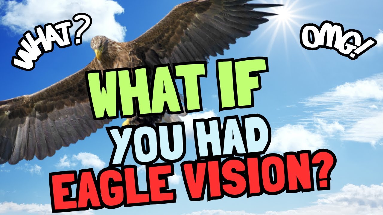 What if you had eagle vision? 🦅👁️ | Super sight science for curious kids