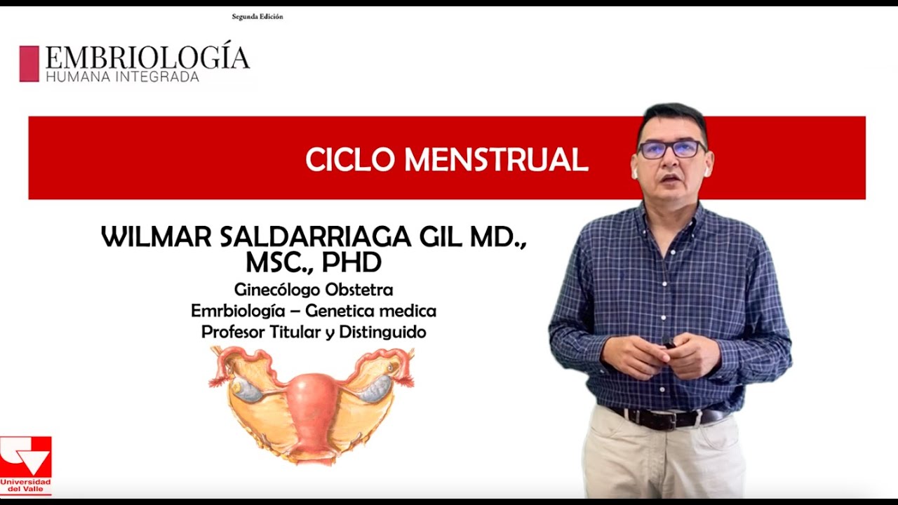 Ciclo Menstrual parte 1- Capitulo 3, Embriologia Humana Integrada.
