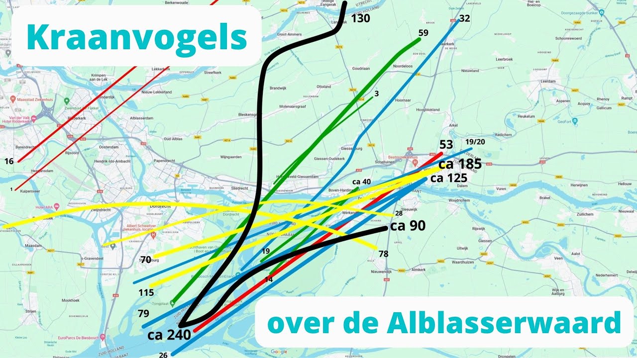 9 maart 2024 - Kraanvogeltrek over de Alblasserwaard