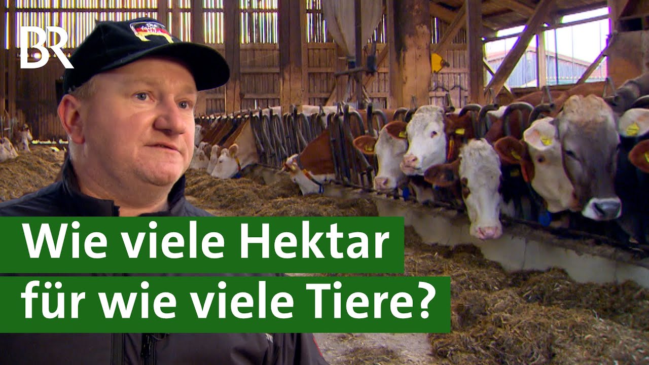Flächenbindung: Wie viele Tiere, wie viele Hektar? | Unser Land | BR Fernsehen