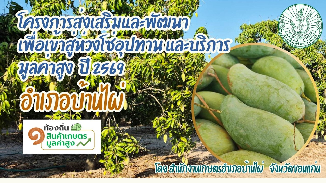 ผลการดำเนินงานโครงการส่งเสริมและพัฒนาเพื่อเข้าสู่ห่วงโซ่อุปทาน และบริการมูลค่าสูง ปี 2569 อ.บ้านไผ่