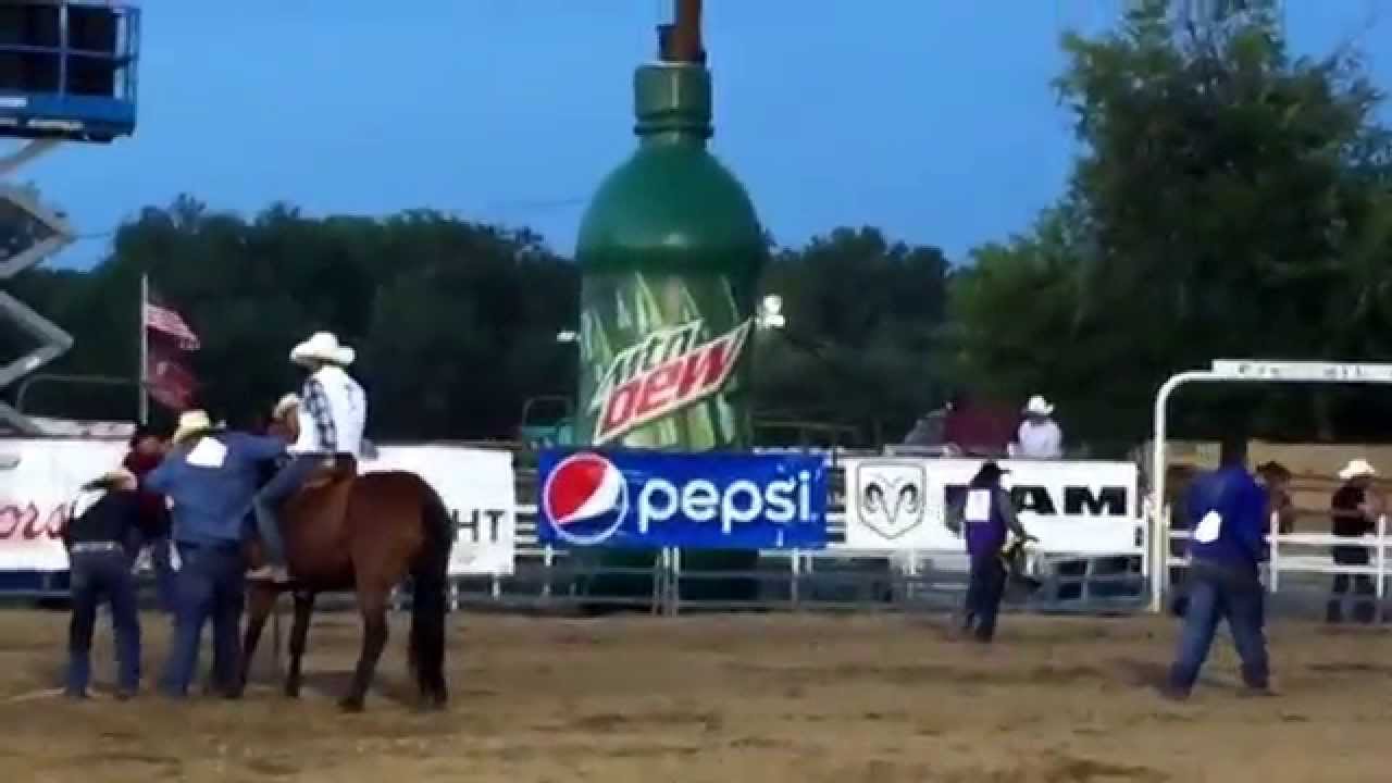 Wild Horse Race - Xtreme Bronc Riding. World's Oldest Rodeo, Prescott, Arizona.