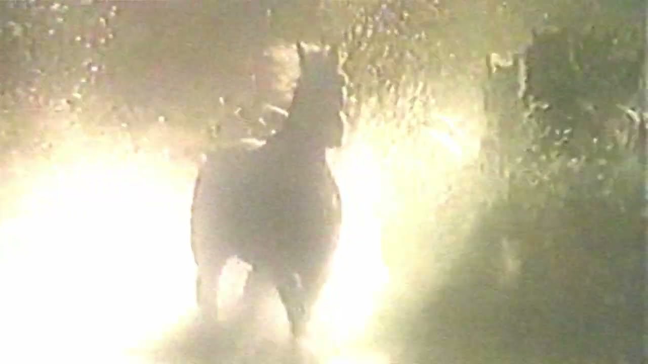 &sum;V&sum;RYTHING - Horse Memory