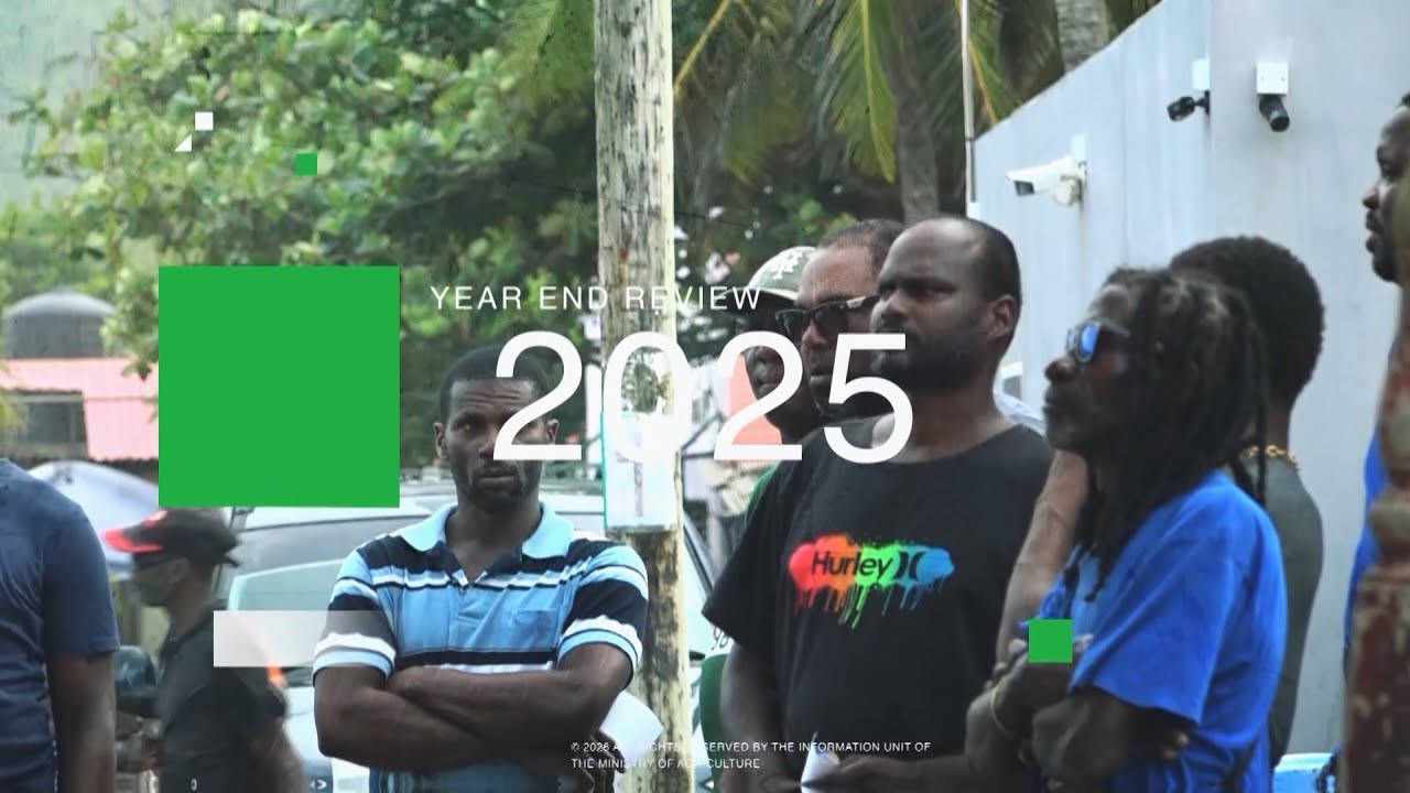 MOA Year In Review 2025