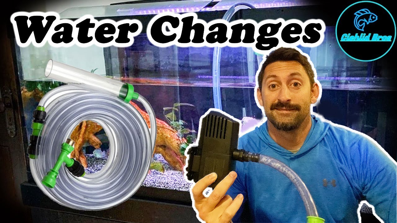 How We Do Water Changes | Tips & Tricks