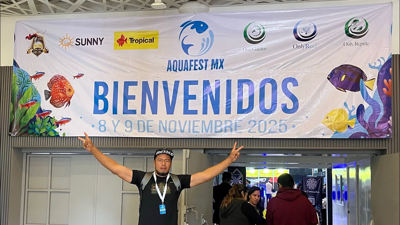 AquaFest 2025 