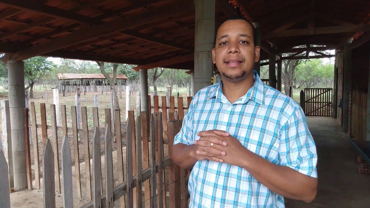 Instalações Básicas para Caprinos Leiteiros - Aprisco