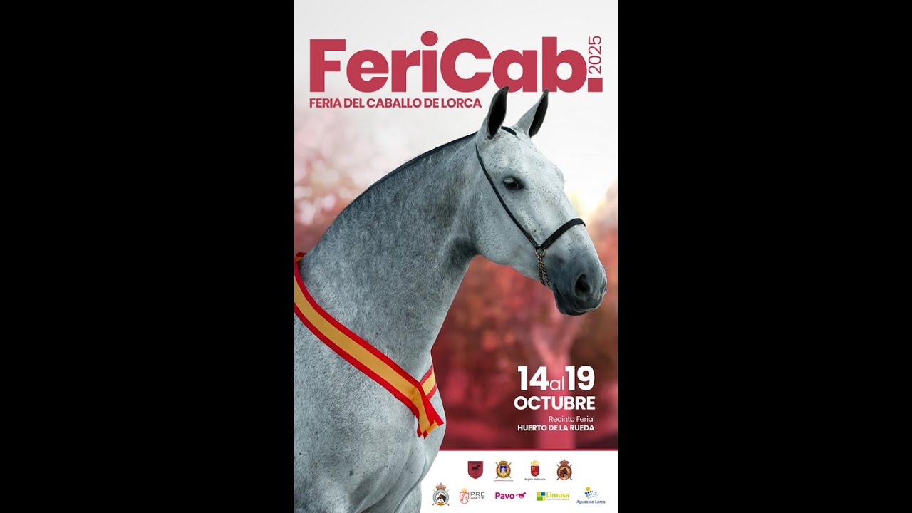 Concurso Morfológico PRE ANCCE 3* -  Fericab Lorca 2025