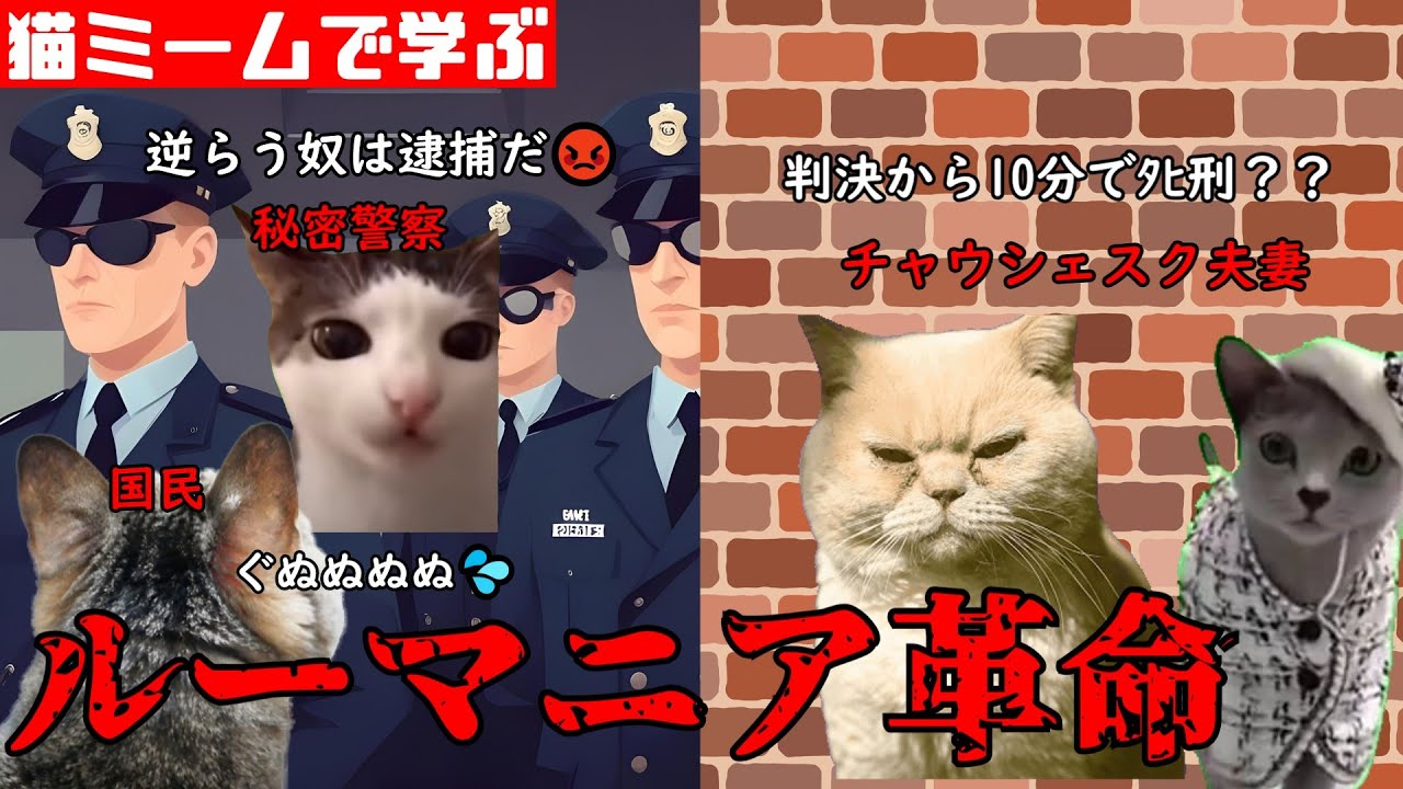 猫ミームで学ぶルーマニア革命 #猫マニ #猫ミーム