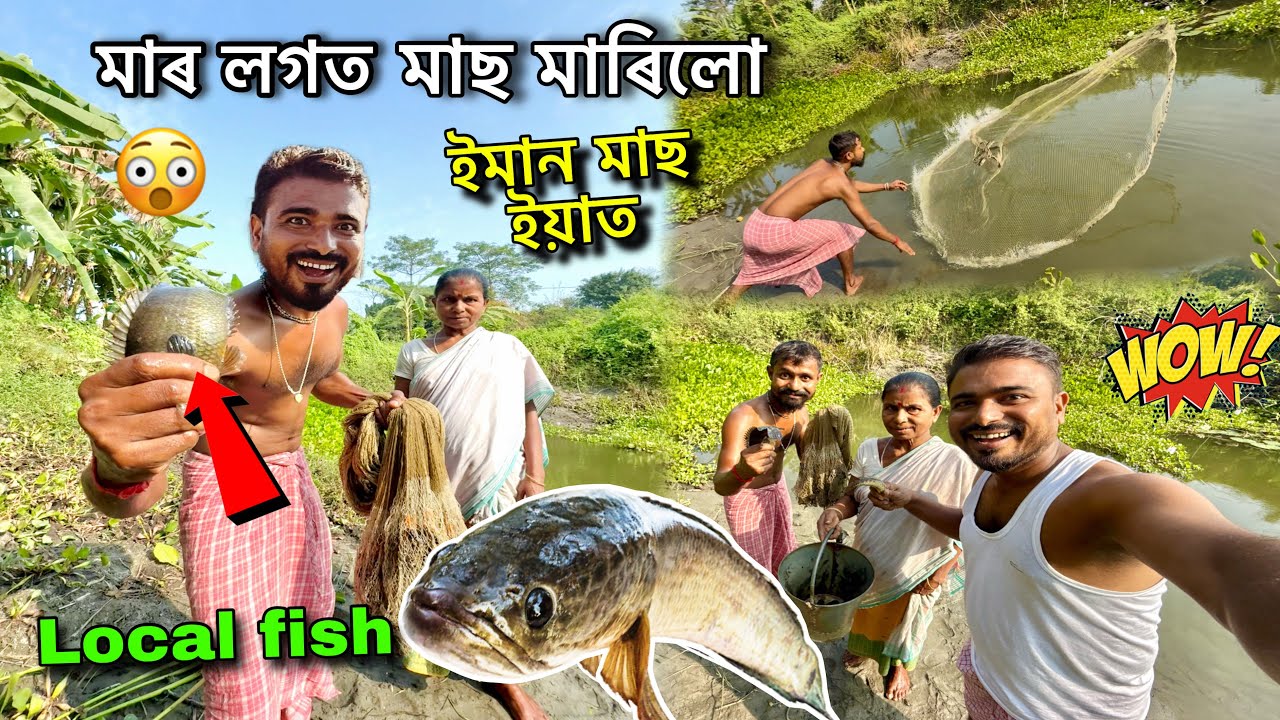 আচৰিত একবাৰতে ইমান মাছ পালো 😱এই ঠাইবিলাকত বহুত মাছ ॥Fishing Vlogs @mridupawanvlogs5264 