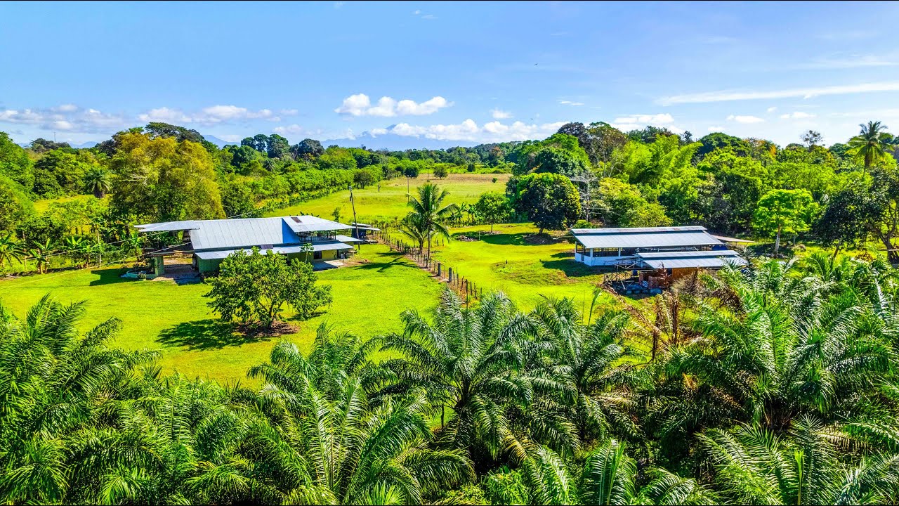 Country Home with Fruit Trees and Acreage in Bugaba Panama SSS2980