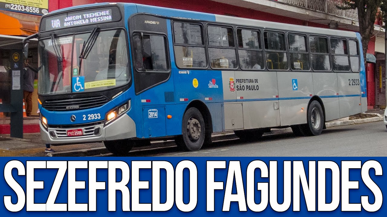 Avenida Coronel Sezefredo Fagundes - Movimentação de Ônibus #501