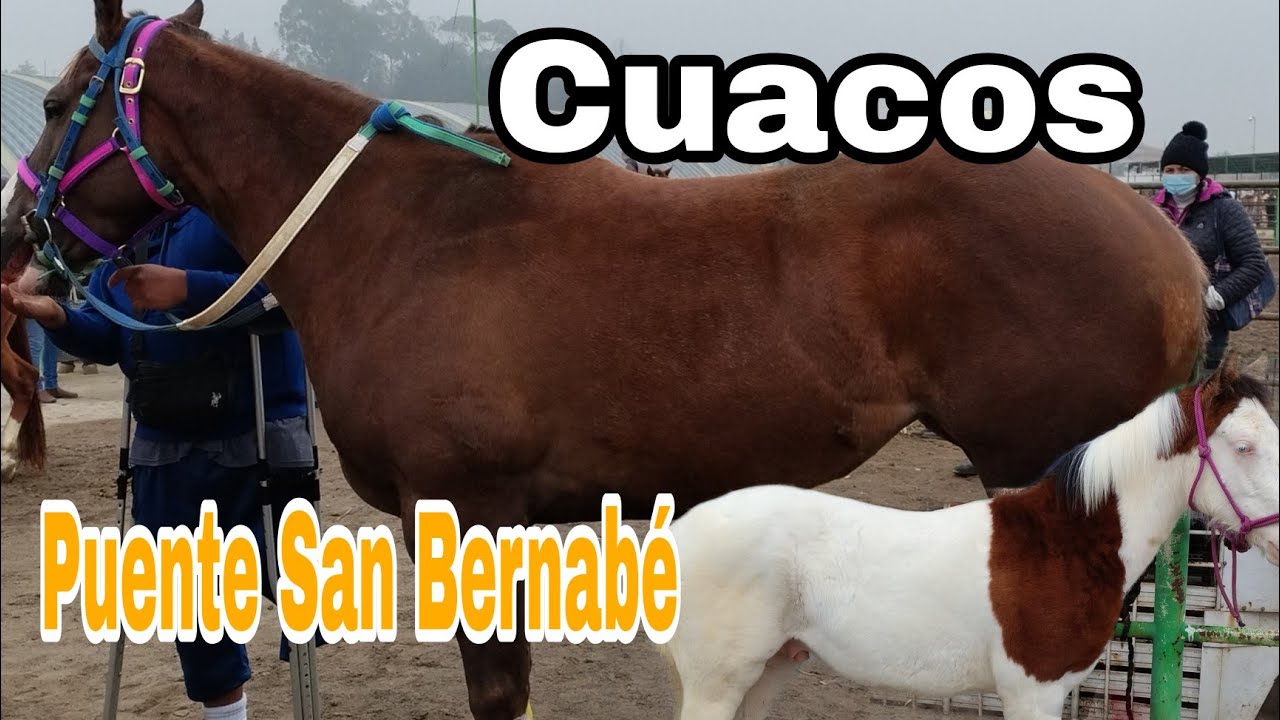 CUACOS PUENTE SAN BERNABE