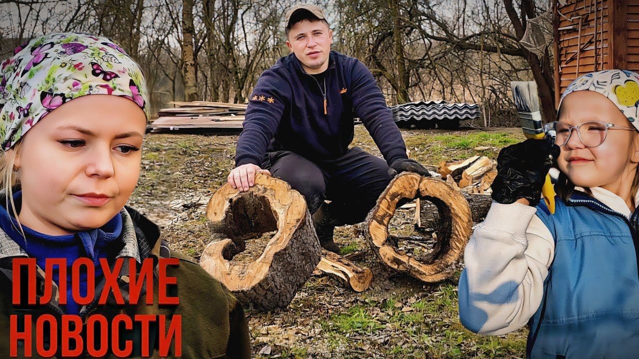 Жизнь в ДЕРЕВНЕ, ПРОБЛЕМЫ и ОБМАН. Как победить РАК деревьев? Изменения на ЛИПОВОМ ХУТОРЕ.
