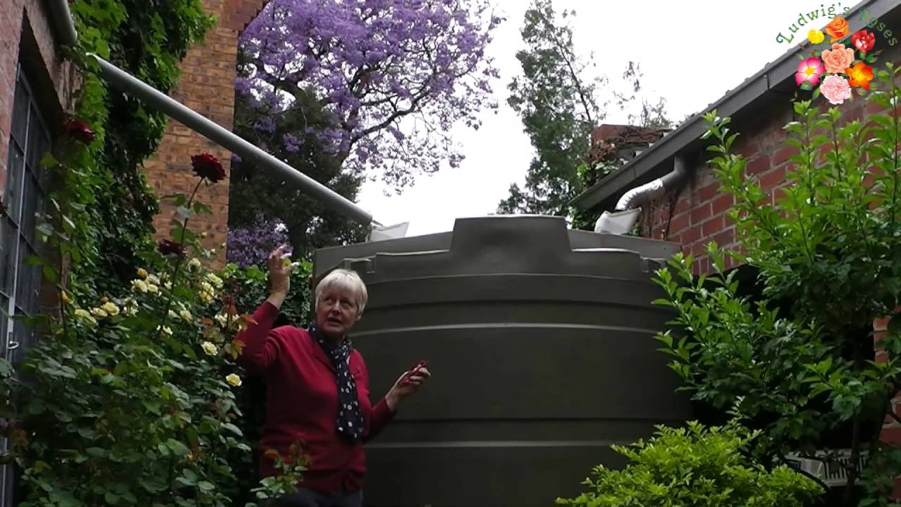 rain water harvesting