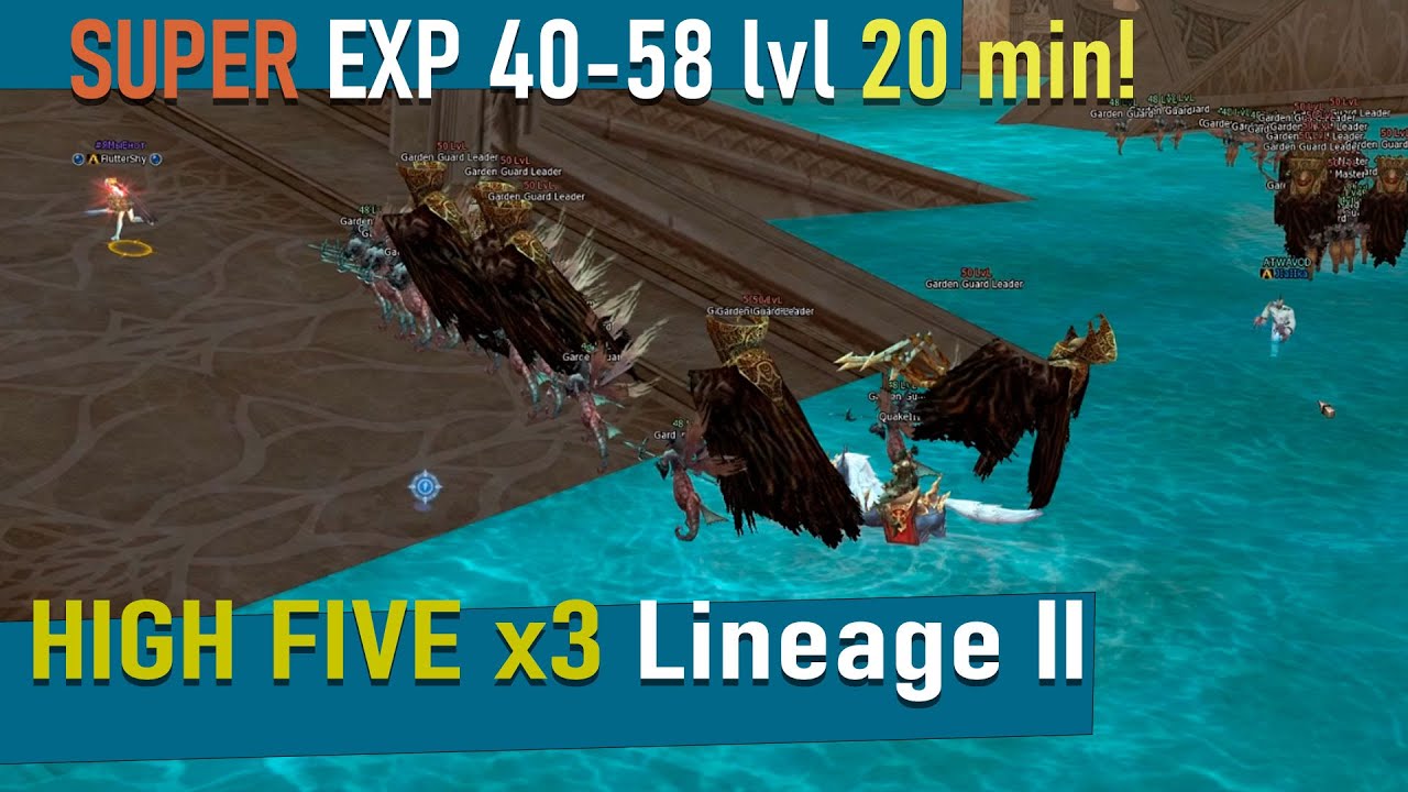 Турбо кач 40 58 Lineage II HF Best exping High FIve x3 server