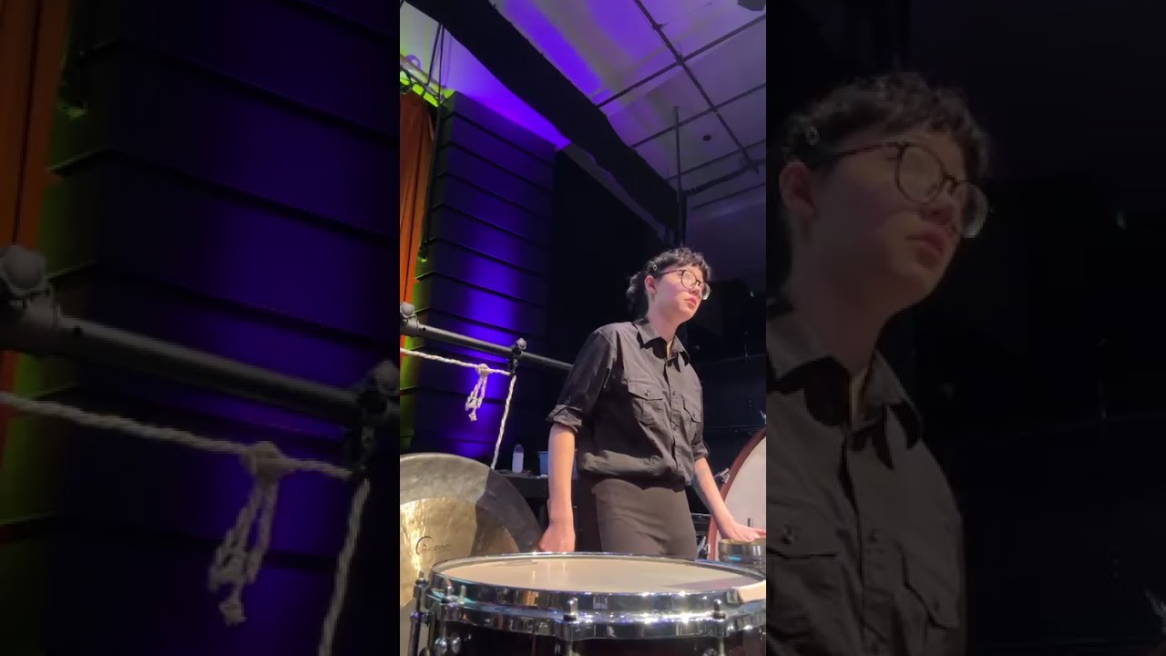 the percussionist