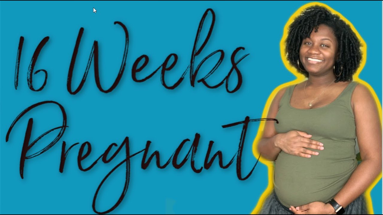 16 WEEKS PREGNANT UPDATE + BUMP SHOT | EiffelCurls