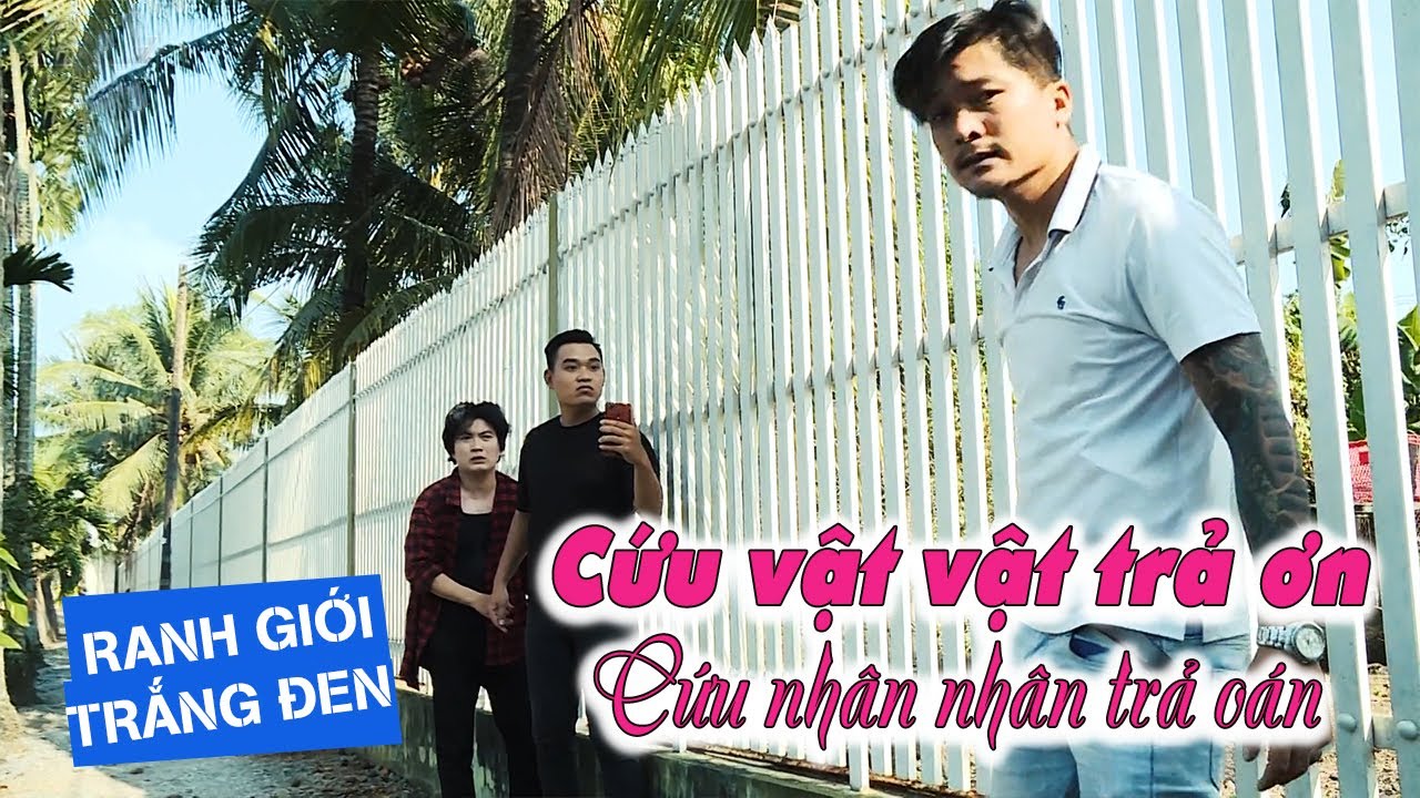 CỨU VẬT VẬT TRẢ ƠN, CỨU NHÂN NHÂN TRẢ OÁN | RANH GIỚI TRẮNG ĐEN | ViVu TV