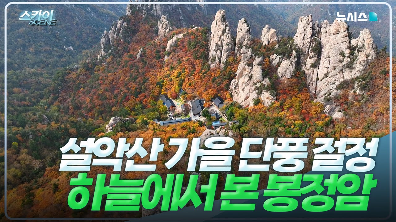 설악산 가을 단풍 절정🍂 하늘에서 본 봉정암 [스카이씬]