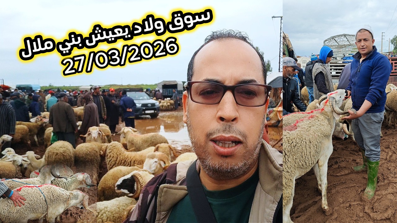 أجي تشوف ثمن الحولي عيد الأضحى  مع الزعواطي اليوم من #سوق ولاد يعيش بني ملال 27/03/2026 #مواشي