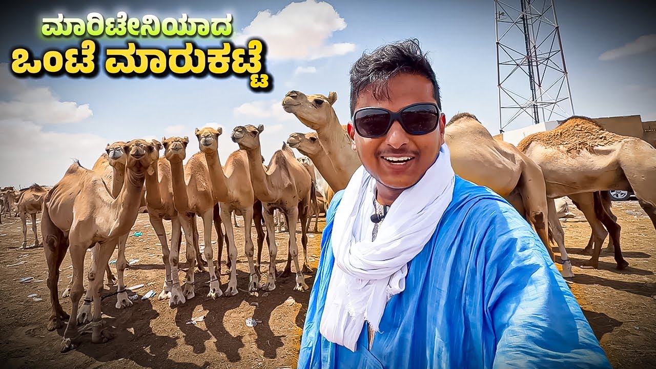 ಮಾರಿಟೇನಿಯಾದ ಒಂಟೆ ಮಾರುಕಟ್ಟೆ 🐪 | Dr Bro  | Dr Bro Kannada 
