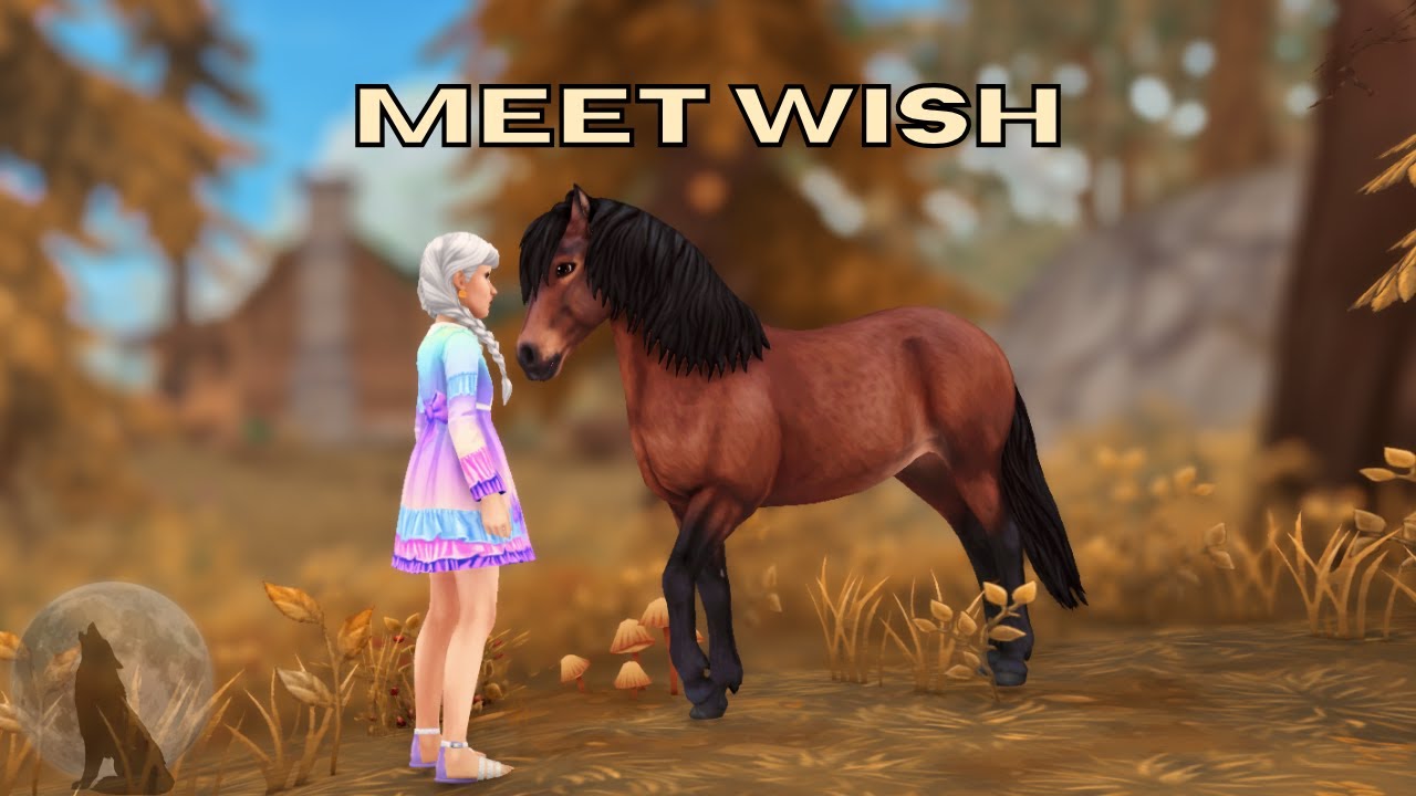 Meet Wish - Gotland Pony || Meet The Horses || Star Stable Online