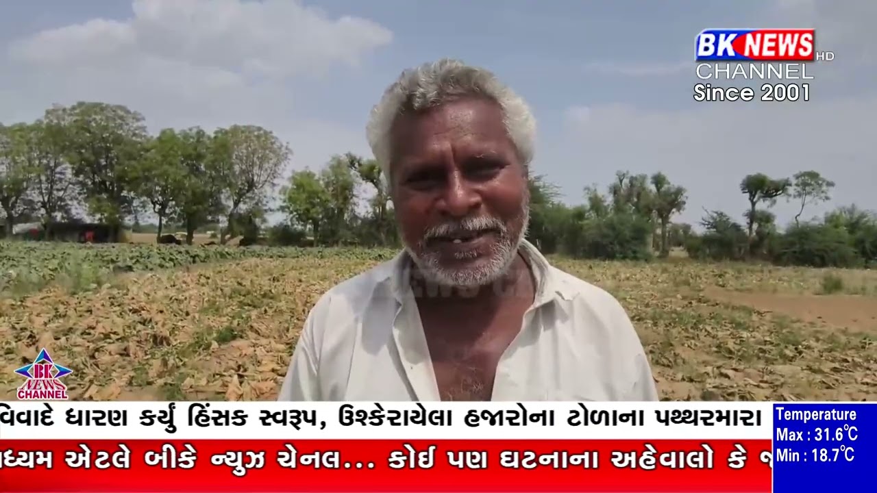 મિની વાવાઝોડાનો કહેર, બનાસકાંઠામાં પાક ધરાશાયી ખેડૂત ચિંતાતુર..!