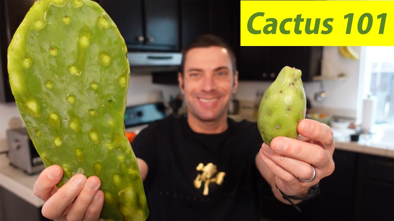 How To Cook and Eat Cactus
