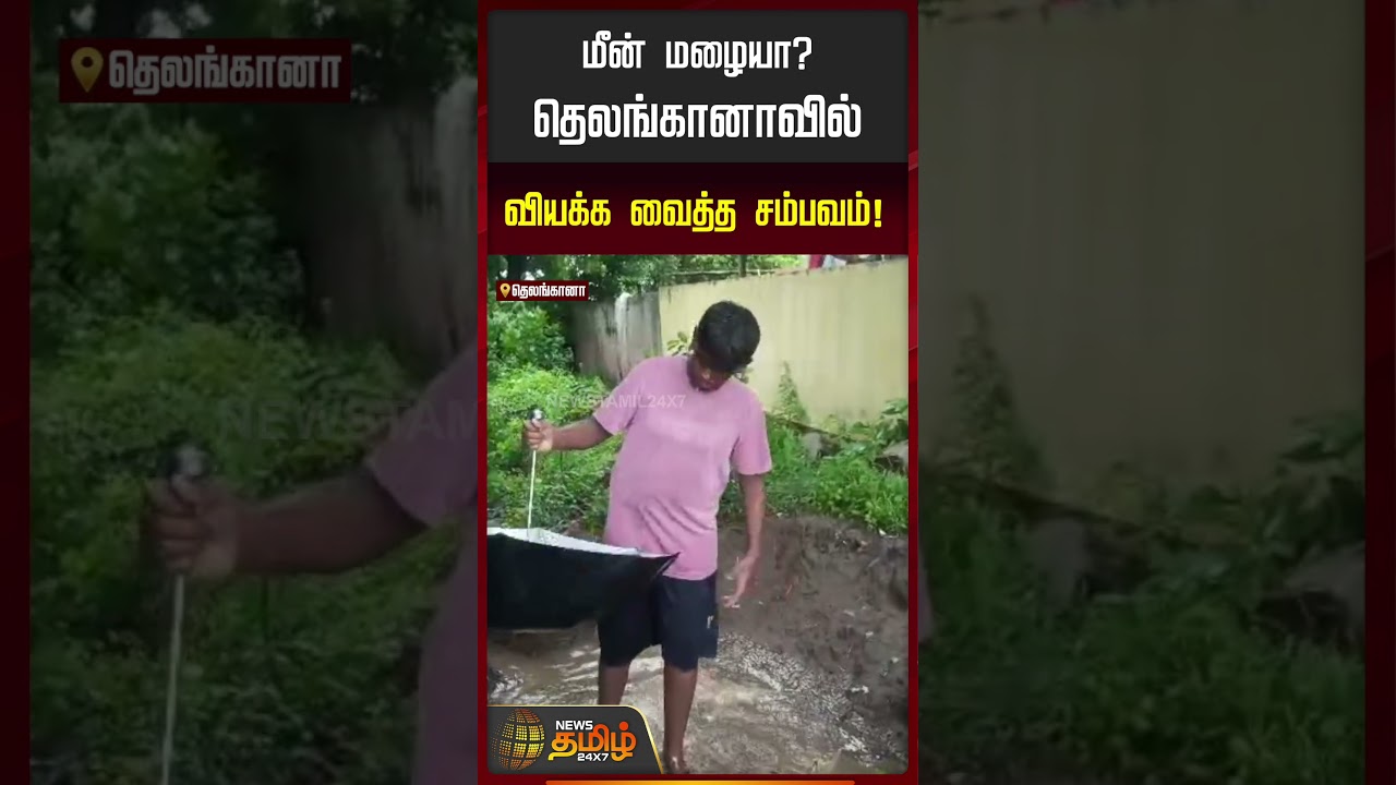 Telangana | மீன் மழையா? தெலங்கானாவில் வியக்க வைத்த சம்பவம்! | #shorts