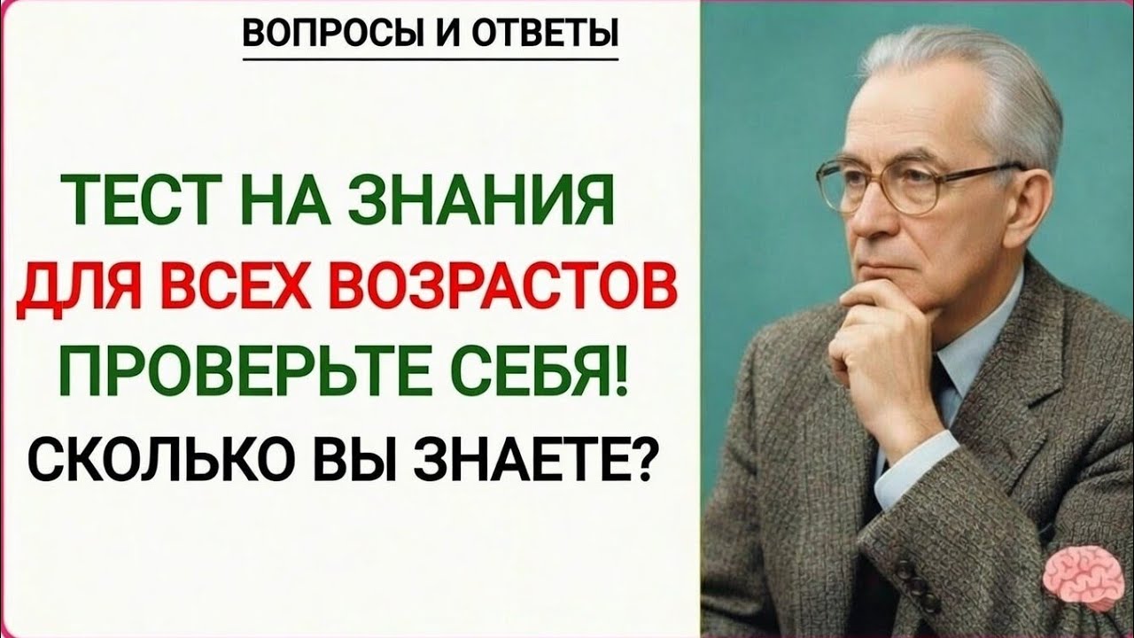 Вот точный  изображения на русском языке (как в типичных постерах/викторинах такого формата):