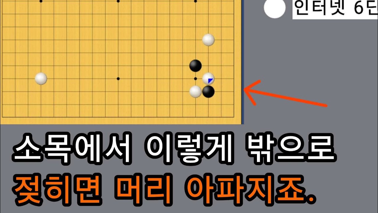 서로 양곤마. 힘싸움의 결과가 재밌네요. 