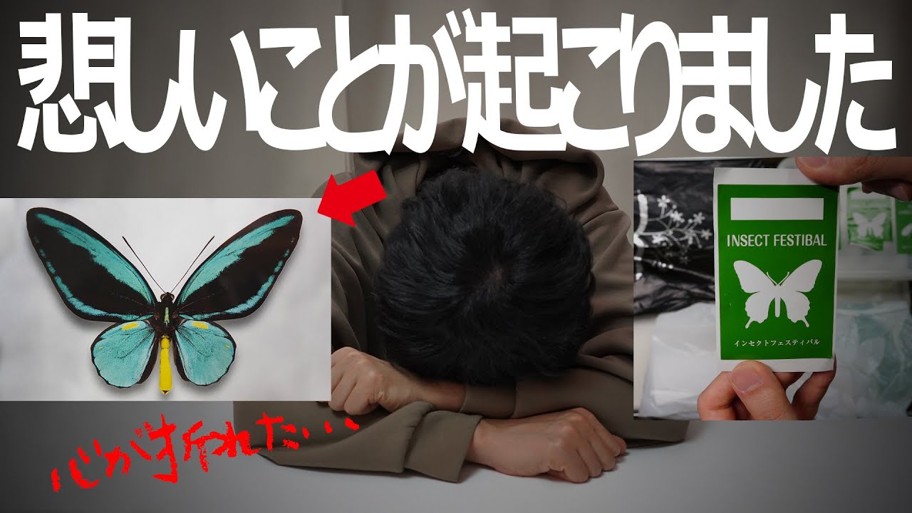 悲しいことが起こりました、昆虫即売会インセクトフェス2023