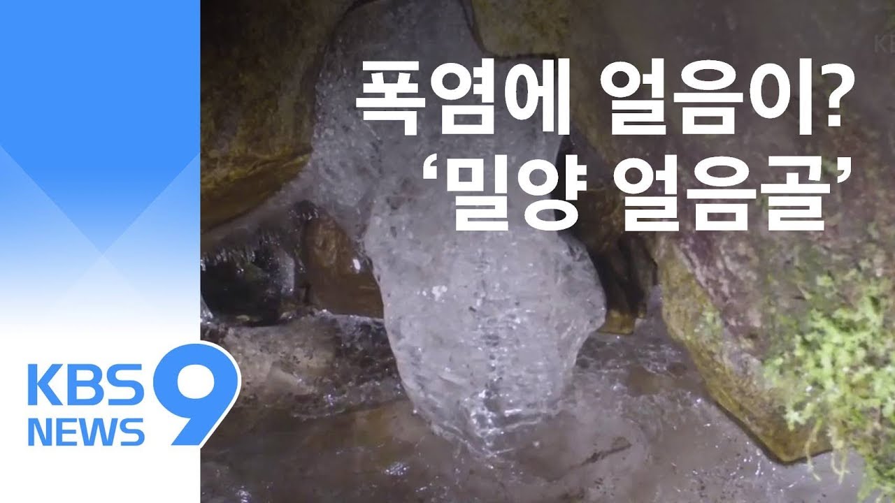 &ldquo;이 폭염에 얼음이 꽁꽁?&rdquo;&hellip;신비한 &lsquo;밀양 얼음골&rsquo; / KBS뉴스(News)
