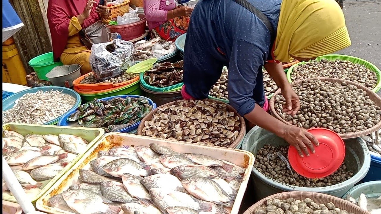 exploring the largest fish market tradisional in Surabaya east Java Indonesia 